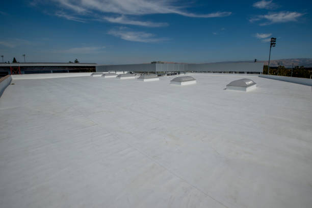 Best Skylight Installation and Repair  in Middle River, MD