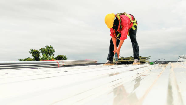 Best Roof Maintenance and Cleaning  in Middle River, MD